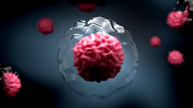 冠状病毒SARS-CoV-2红色的显微镜模型，在受感染干细胞的细胞质中。导致危险的传染病COVID-19。被称为2019 - ncov。免疫系统的攻击。3 d视频下载