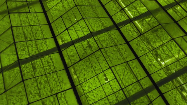 空中拍摄的温室外景，用LED灯照亮植物生长。视频下载