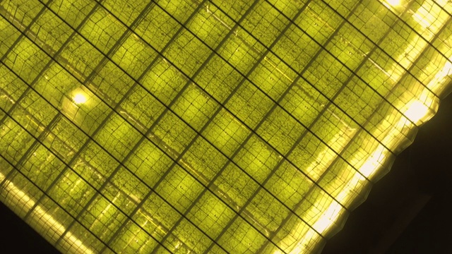 高空航拍的一个有黄瓜的大温室视频下载