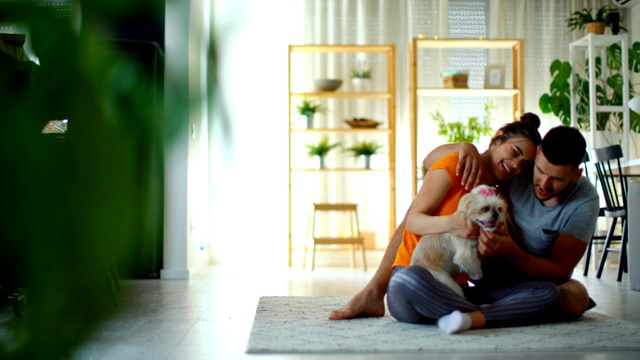 一对年轻夫妇在家里玩狗。视频素材