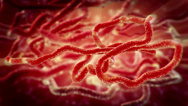 埃博拉病毒视频素材