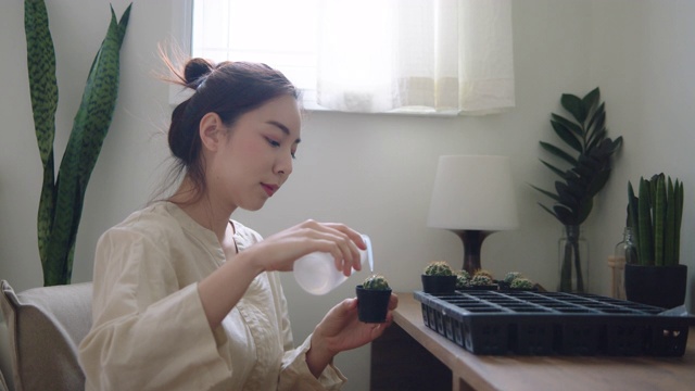 千禧女性在家给室内植物浇水视频素材