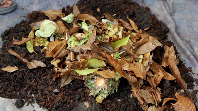 来自厨房和花园废弃物的有机肥料视频素材