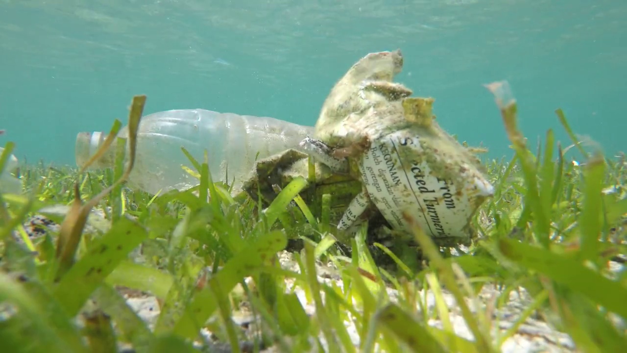 塑料在海洋视频下载
