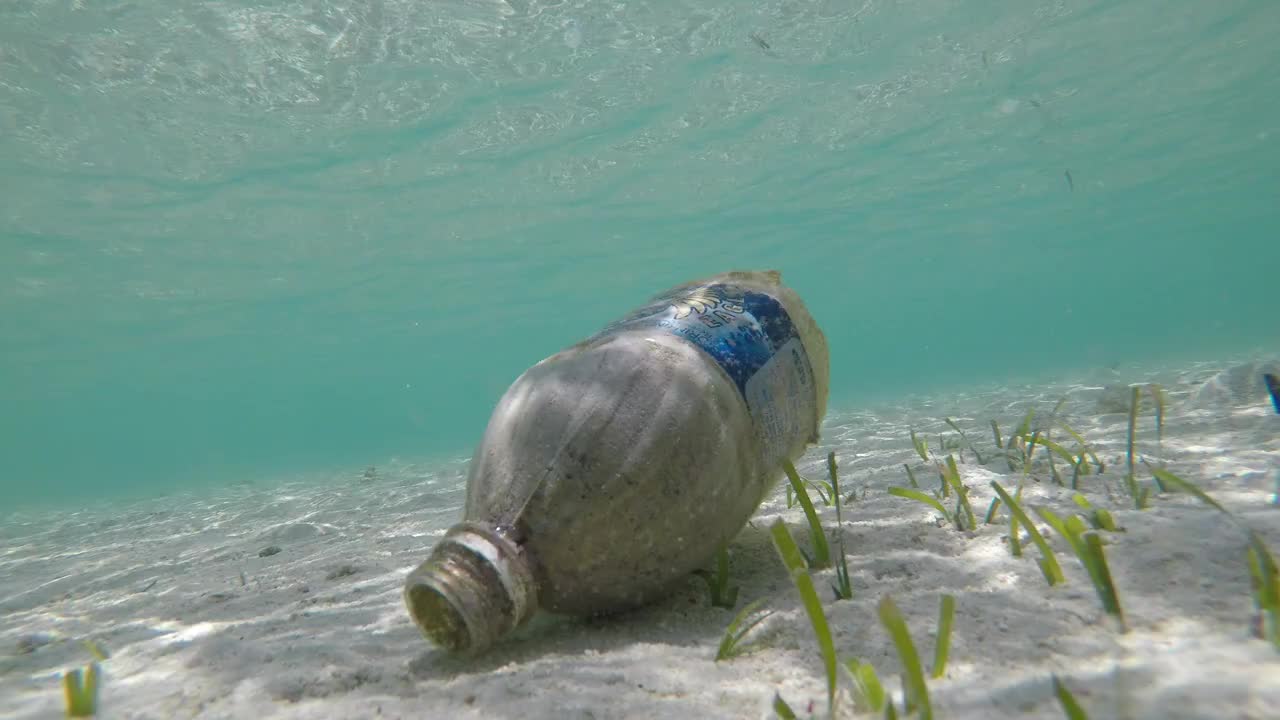 塑料在海洋视频下载