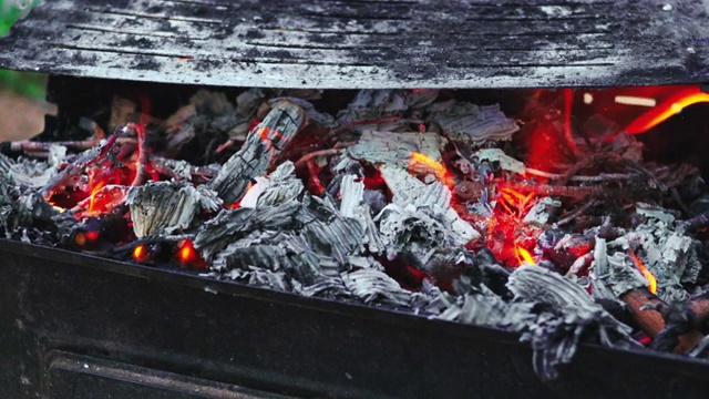 在金属烤架上燃烧木柴视频素材