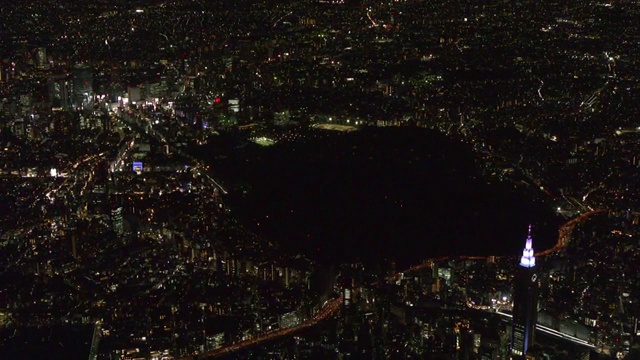 空中，代代木公园晚上，东京，日本视频下载