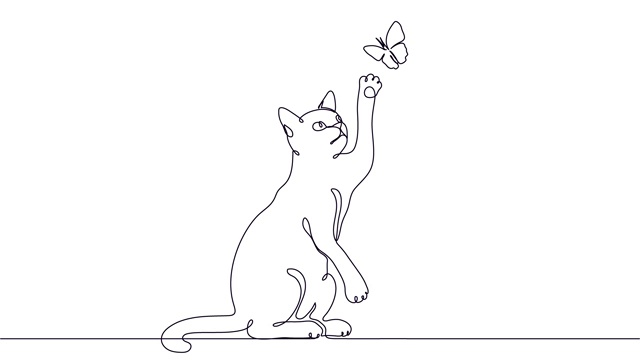 小猫在和飞翔的蝴蝶玩耍。视频下载