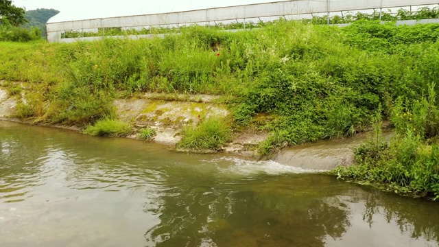 河流污染视频下载