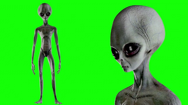 可怕的灰色外星人站在绿色屏幕上眨着眼睛。不明飞行物的概念。3 d渲染。视频下载