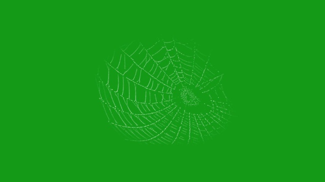 蜘蛛网运动图形与绿色屏幕背景视频素材