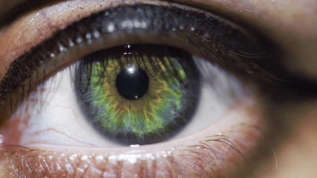 近距离观察女性绿色沼泽颜色与黑色眼线化妆左眼视频下载