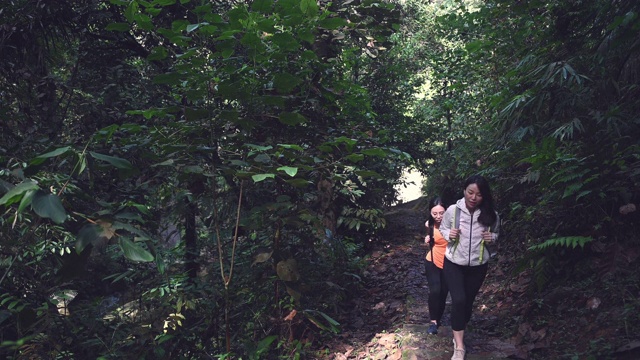 两名亚洲华人姐妹走上坡路，在丛林中交谈视频下载