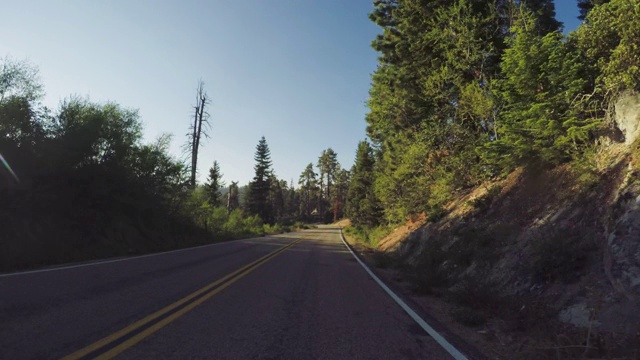 POV汽车行驶在宏伟的森林红杉国家公园，加州视频素材