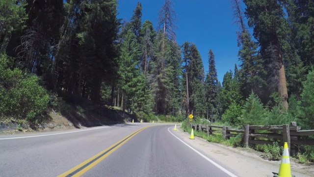 在加利福尼亚州红杉国家公园的宏伟森林中，一辆POV汽车行驶着视频素材