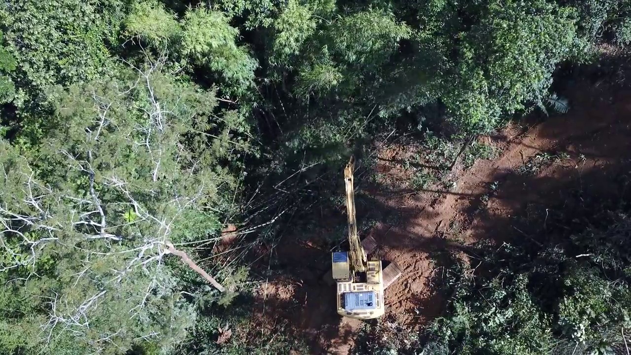 森林砍伐。视频下载