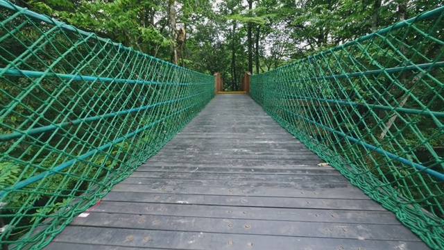 森林中的吊桥视频下载