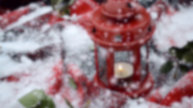 17、花灯红烛绿叶雪。视频素材