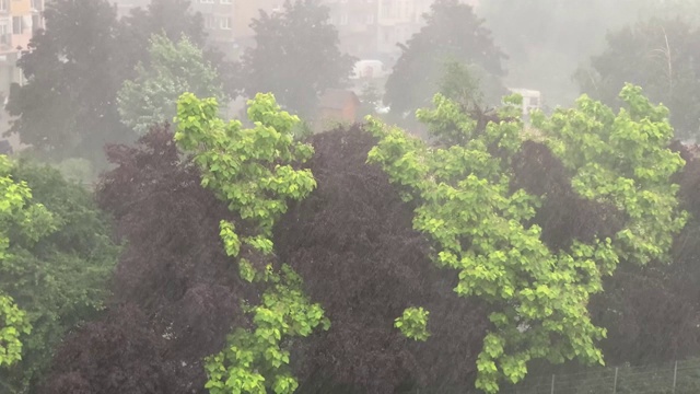 暴雨和冰雹伴随着波兰城市突然爆发的暴风雨视频下载