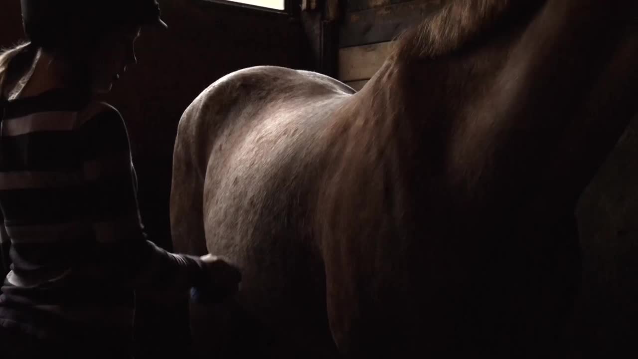 十几岁的女孩在刷马。视频素材