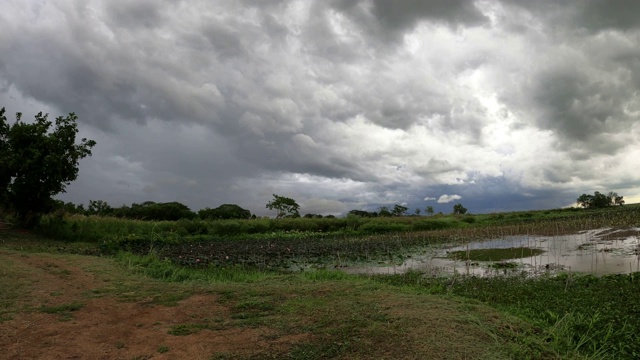 沼泽上空的乌云和天空视频素材
