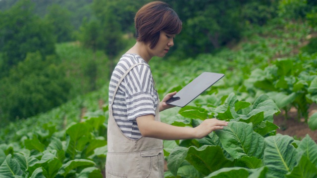 农民使用数字平板电脑在农场视频下载
