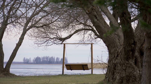 在爱沙尼亚的瓦尔斯卡湖边的一个木制秋千视频素材