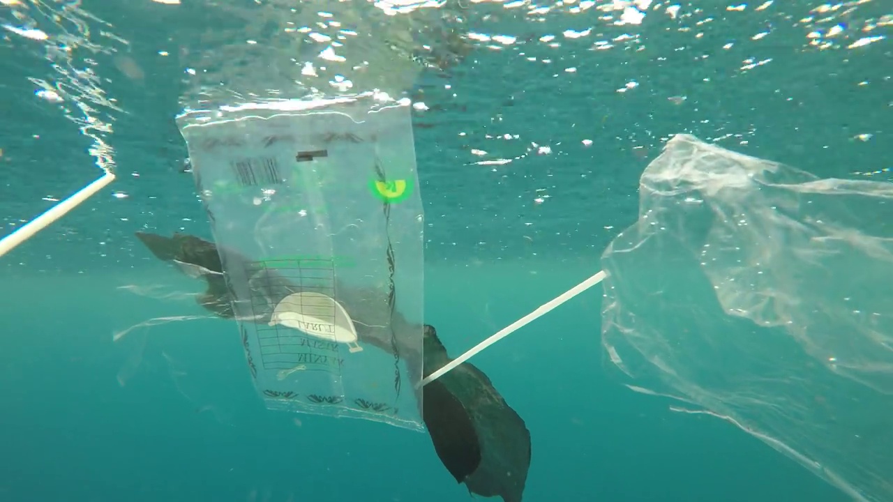 海洋塑料污染视频下载
