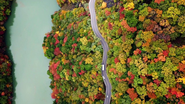 鸟瞰图的道路与森林改变颜色在秋天的时间在日本附近的河流，旅游的概念视频素材