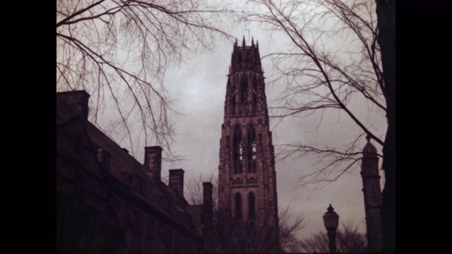 低角度的哈克尼斯塔和光秃秃的树对着天空在耶鲁大学，纽黑文，康涅狄格州，美国视频下载