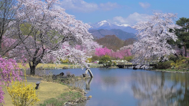 WS SLO MO景观与Adatara山和湖，福岛县，日本视频素材