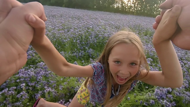 一个快乐的小女孩在她父亲的怀抱里，在一片开着花的田野里视频素材