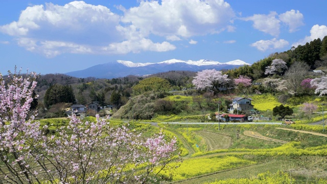 日本福岛县Adatara山景观视频素材