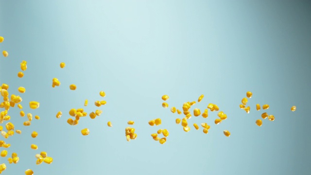 玉米粒飞行视频素材