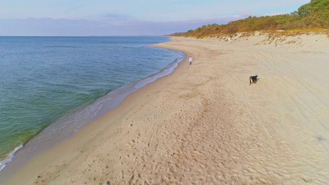 55岁的成熟、活跃、迷人的女人和她的大狗泽嫩猎犬在阳光明媚的秋日波罗的海的沙滩上玩耍。高空高角度4K超高清视频片段。视频素材