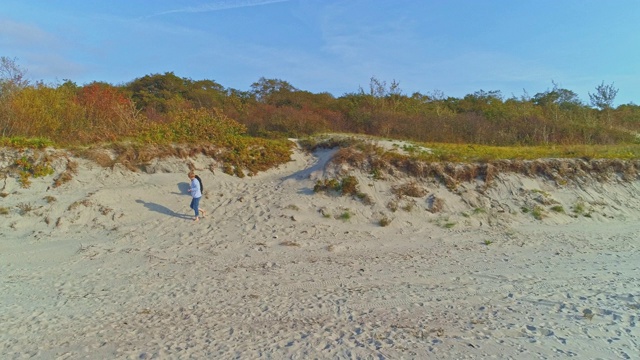 55岁的成熟活跃，迷人的女人散步她的大狗，泽嫩猎犬，在波罗的海的沙丘在阳光明媚的秋日。高空高角度4K超高清视频片段。视频素材