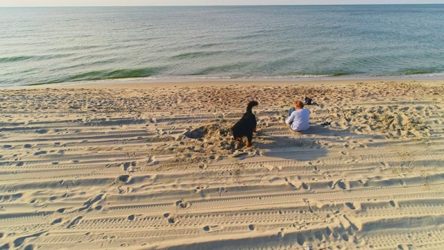 55岁的成熟活跃，迷人的女人坐在波罗的海的沙滩上，在阳光明媚的秋日，与她的泽嫩猎犬玩耍。高空高角度4K超高清视频片段。视频素材