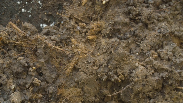 土壤裂隙的微距拍摄视频下载