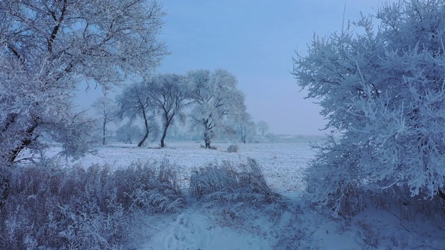 中国吉林雾凇岛的雪景视频购买