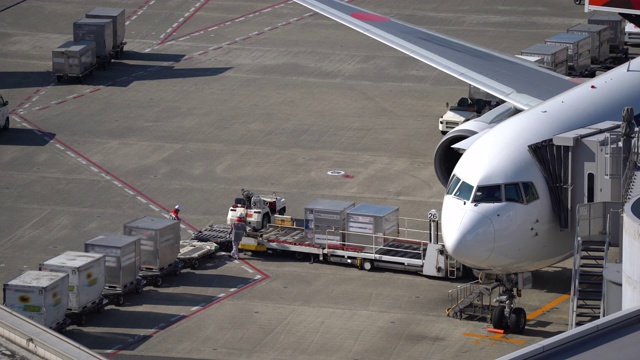 从飞机上卸货，空运货物和业务进出口物流的概念。视频下载