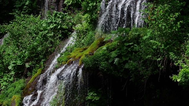 初夏风景瀑布与繁茂的树叶(超慢镜头)视频素材