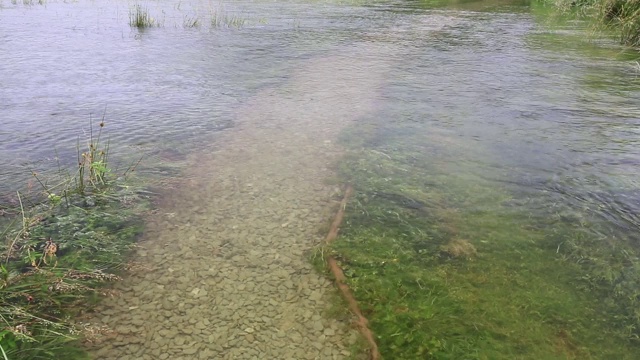 英国湖区，安布尔赛德的布拉塞河在6月24小时内的降雨量创历史记录后，完全被洪水淹没。视频下载