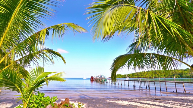 码头。热带海滩。棕榈树。奢侈品视频素材
