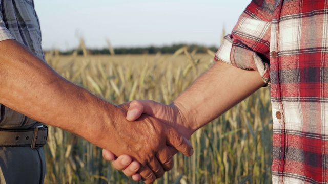 两个农民握手的特写背景是农村的麦田和小麦视频素材