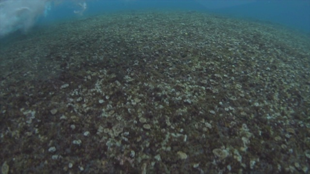 海浪冲击着珊瑚礁，水下风景。——慢动作视频素材