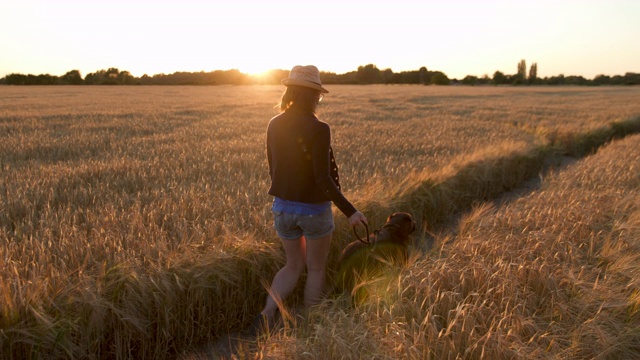 一个女人在日落遛狗的片段视频素材