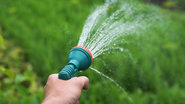 园丁的手拿着一根带喷雾器的软管，给花园里的植物浇水视频素材