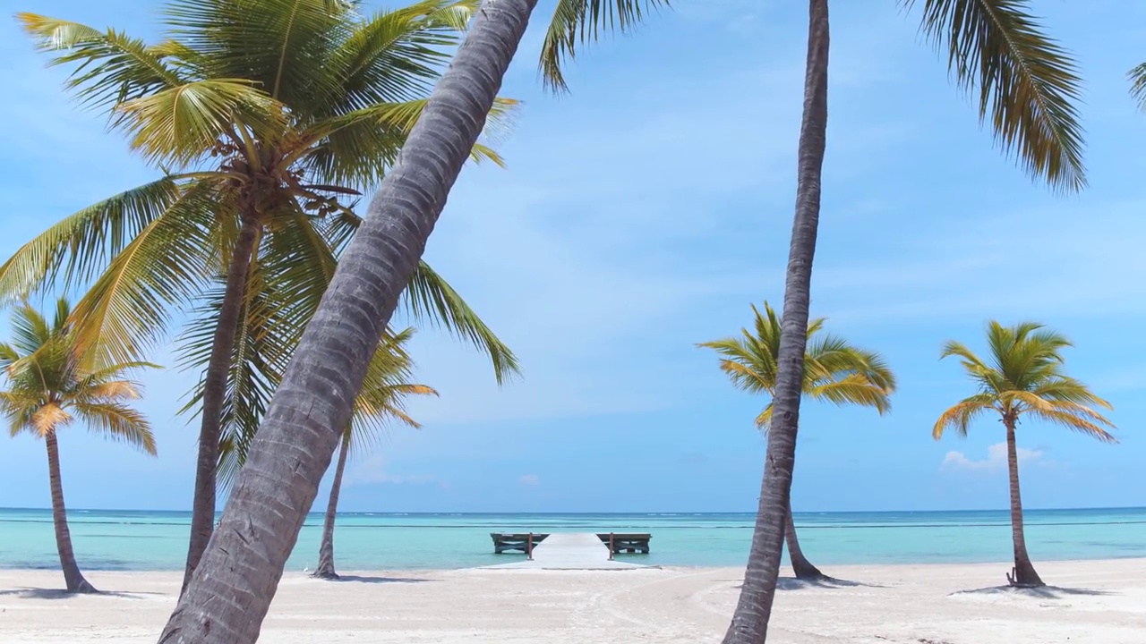 高高的棕榈树在一个岛上的海滩上的白色沙滩上。视频素材