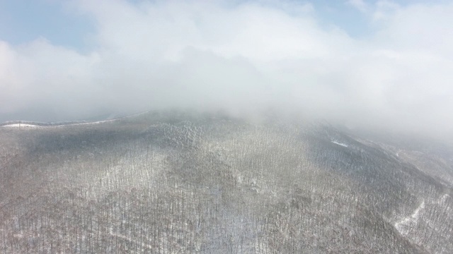 冬季风景/江原道正城郡，韩国视频素材