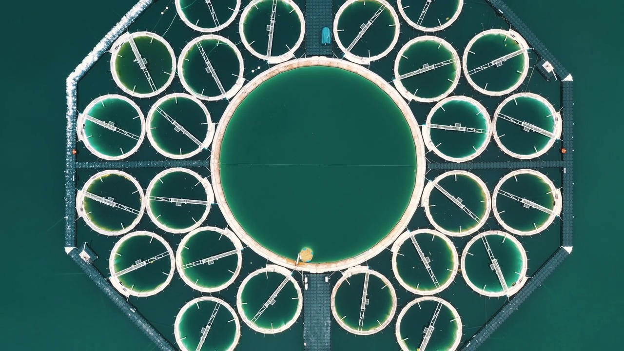 在德国的一个湖里，无人机在向下看水产养殖结构的时候向上移动视频下载